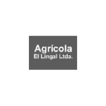 agricola-lingal-1