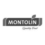 logo-montolin